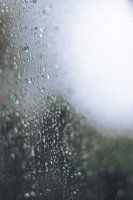 Rain on Glass