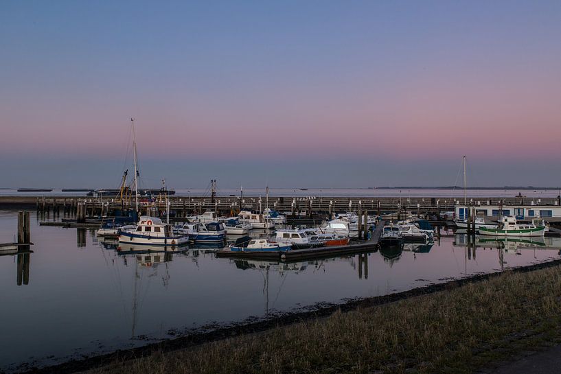 Haven Terneuzen by Elly Damen