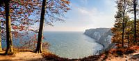 Chalk cliffs - Autumn at the Stubbenkammer