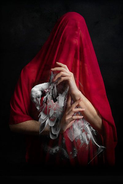 Crimson 1 von Stoffel Beyens