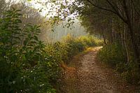 Engbertsdijksvenen 13