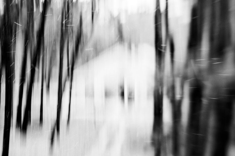 Maison dans la forêt en noir et blanc par Imaginative