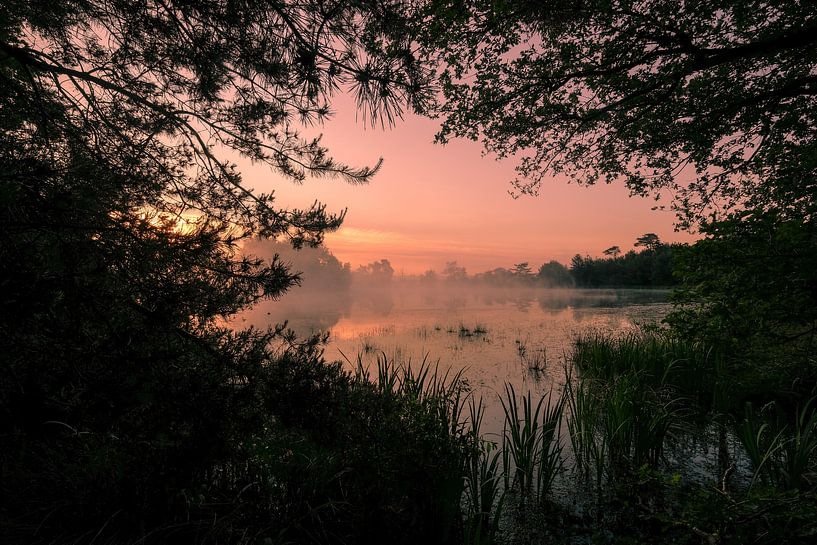 Fenn bei Sonnenaufgang von Moetwil en van Dijk - Fotografie