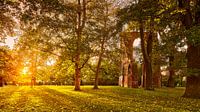 Low rays of sunlight bathe the trees and ruins of the Eldena monastery ruins in a warm golden autumn light, a famous motif by the Romantic painter Casper David Friedrich