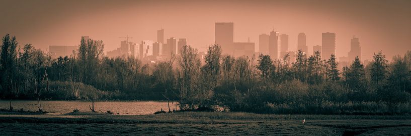Rotterdam par Marco de Graaff