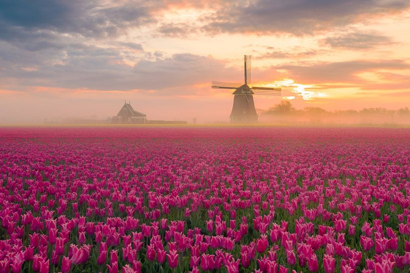 Mill O-T by Richard Nell