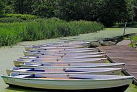 Ruderboote in Vriezeveen