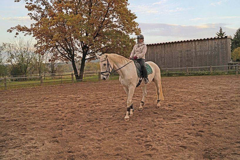 Training with the white horse on a riding arena in autumn by Babetts Bildergalerie