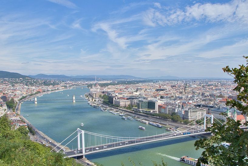 Views over the Danube and Budapest by Erika van Elst