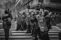 Blumen ausbreiten 2.