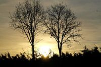 Willst du jeden Tag aufwachen?