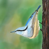 Kleiber in einem Baum