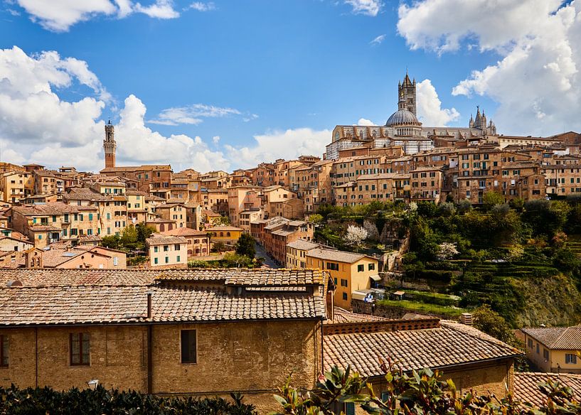 Siena im Sommer von Graham Forrester