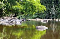 Spiegelbilder (2) im Fluss Sipaliwini in Suriname