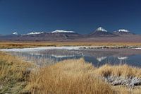 Spiegelung von Andengipfeln in einem Salzwassersee bei San Pedro de Atacama in Chile