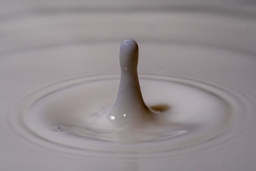 nur mit Milch von Thomas Riess