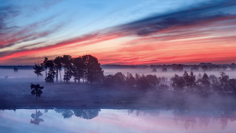 ciel rouge et bleu au lever du soleil sur un wetland_1 brumeux par Tony Vingerhoets