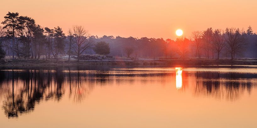 Sonnenaufgang mit Spiegelung im Wasser | Utrechtse Heuvelrug, Niederlande von Sjaak den Breeje
