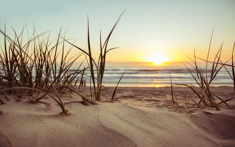 Plage de sable avec des herbes par Gabi Siebenhühner