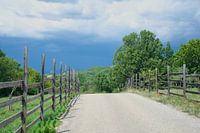 Eine Landstraße in Labeaume