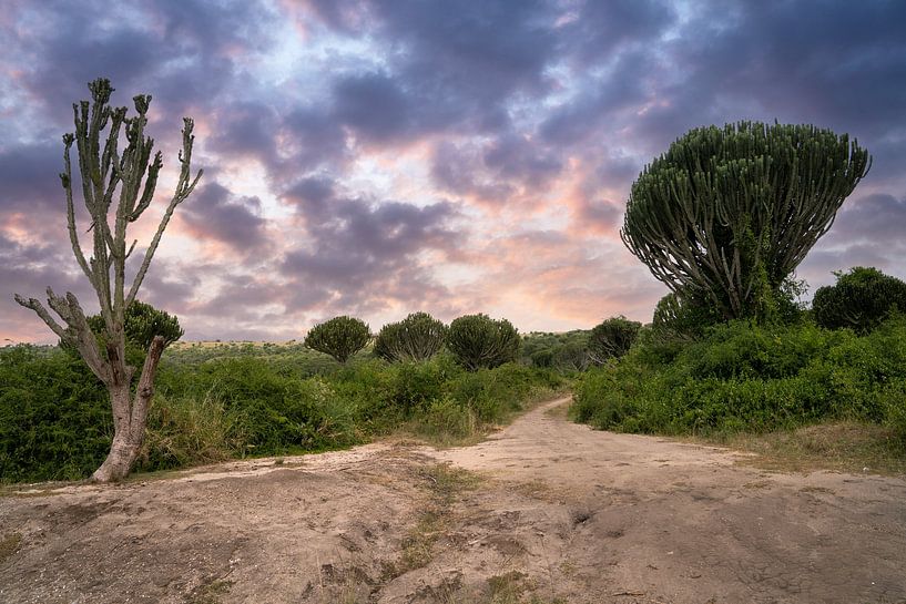 Queen Elizabeth Nationalpark, Uganda von Alexander Ludwig