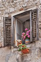 Window with flowers