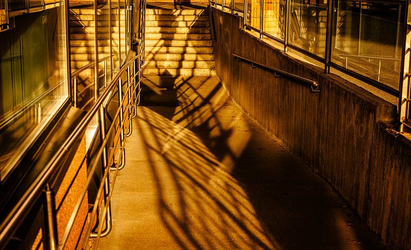 Goldene Schatten – Geländer &amp; Treppe im Abendlicht von Toaster Studio – Kreative Fotografie