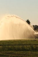 Wasserkanone in der brütenden Sommerabendhitze II
