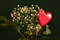 Plaster powder and heart