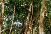 Photographie de voyage 