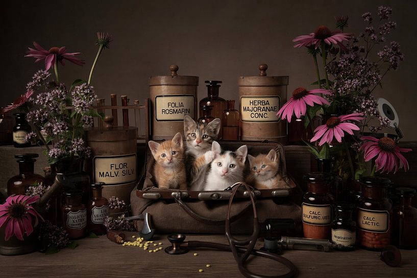 Le meilleur médicament par Elles Rijsdijk