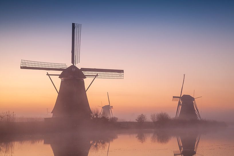 Orange leuchten von Halma Fotografie