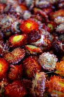 Bloemenarrangement in herfstkleuren