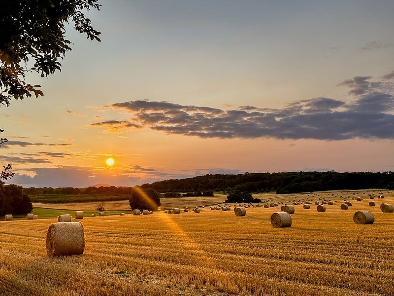 Straw bales in late summer by Dirk Rüter
