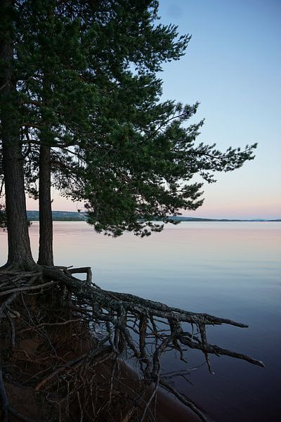 Swedish nights by Sjaak Van de Mheen