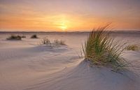 Strand von Texel bei Sonnenuntergang