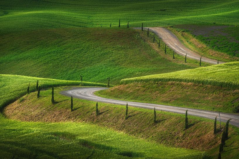 Straße auf dem Lande. Toskana von Stefano Orazzini