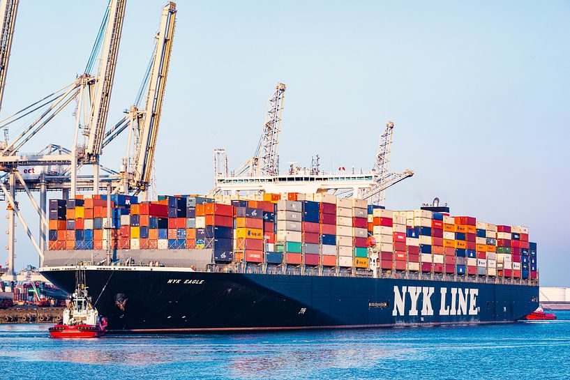 Container schip bij een containerterminal in de Rotterdamse haven van Sjoerd van der Wal Fotografie
