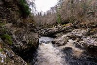 Der Fluss Findhorn in einem wunderschönen Nadelwald, Schottland
