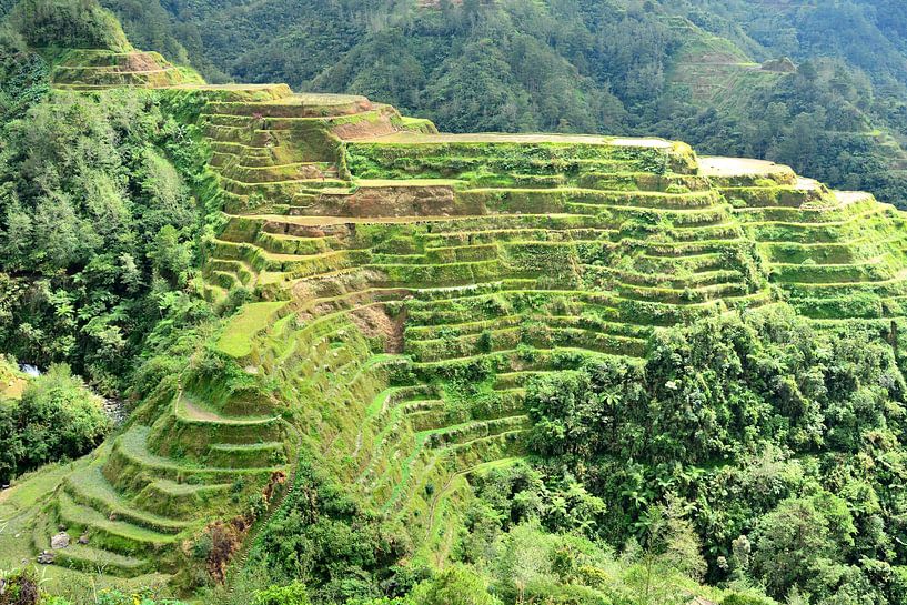Les Terrasses d&#039;Émeraude by Frank Photos