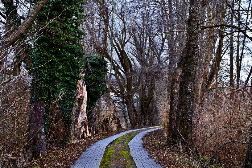 Winterspaziergang im Naturschutzgebiet Luchwiesen von Silva Wischeropp