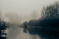 Silence and mystery in the fog