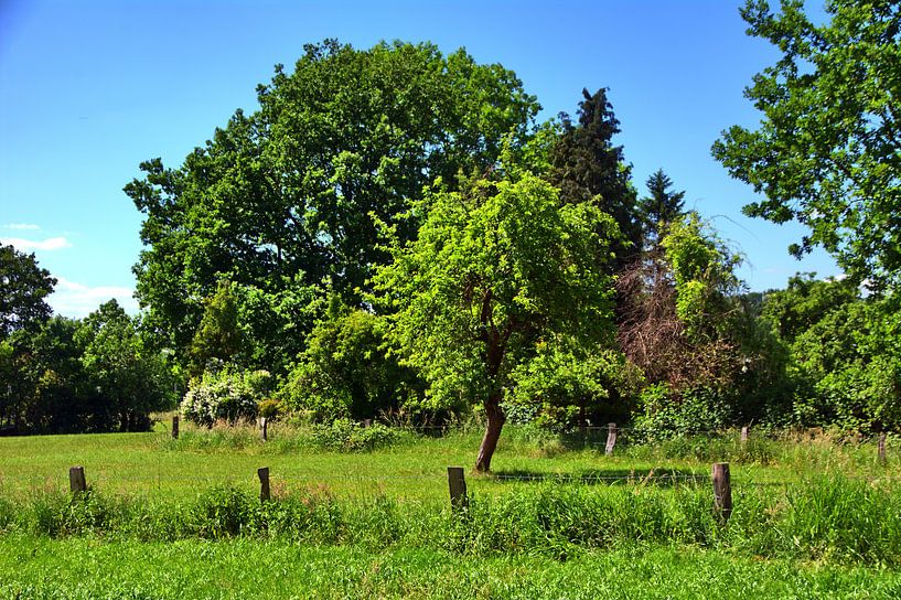 Dortmund 90 by Edgar Schermaul