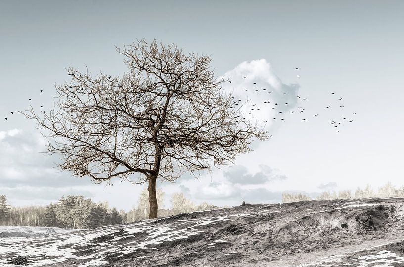 Paysage d'hiver par Hannie Kassenaar