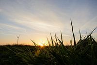 Winterlandschaft mit Windmühle