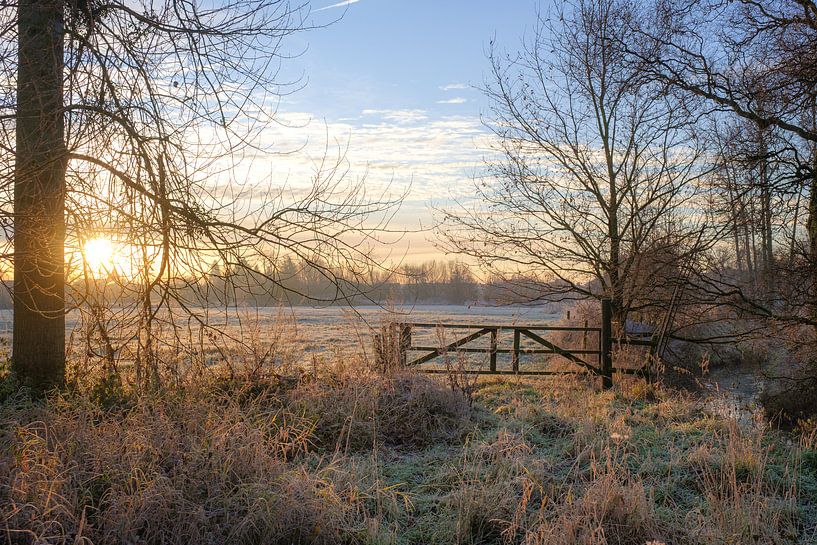 Gefrorener Morgen in Wellen von Johan Vanbockryck