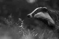 Nahaufnahme einer Erwachsenenkrawatte