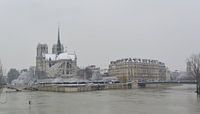 Notre-Dame of Paris in the snow