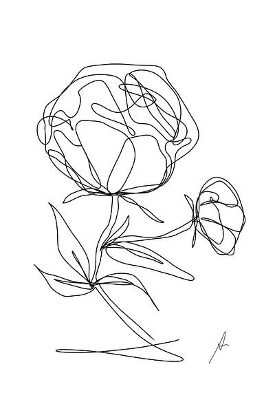 Pfingstrose von AnkieArt