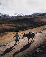 Traditional Peruvian man at work in the mountains | Peru
